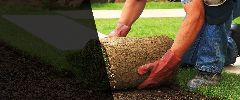Oakland Landscapers